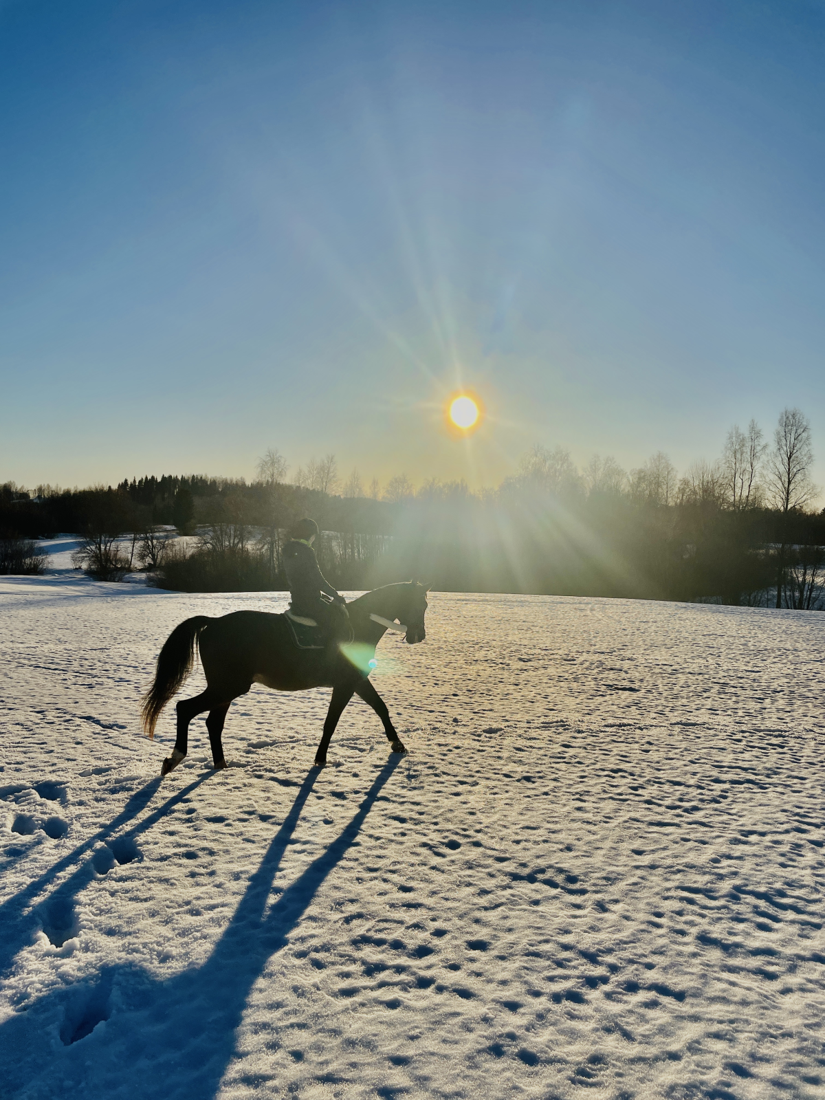 Tuuli Tomingas päikesepaistel ratsutamas_Tuuli blogi