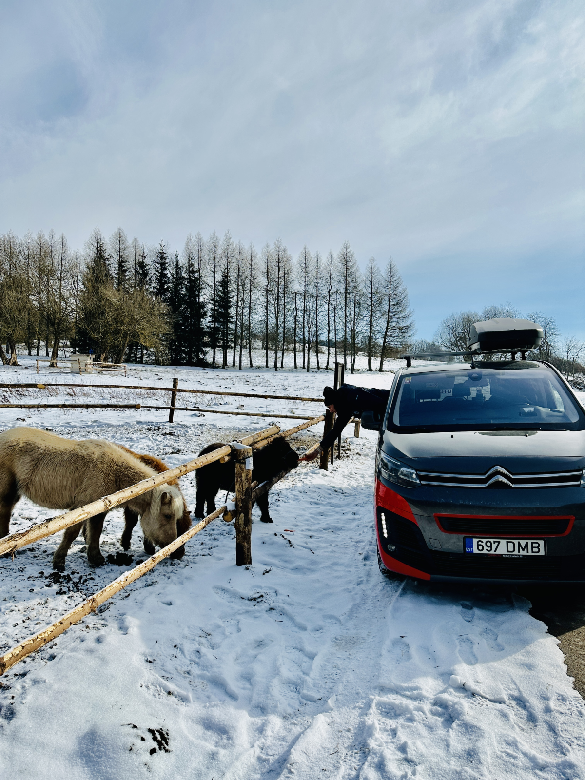 TT tiimi buss Citroen SpaceTourer ja ponid Nove Mesto MK-etapil_Tuuli blogi