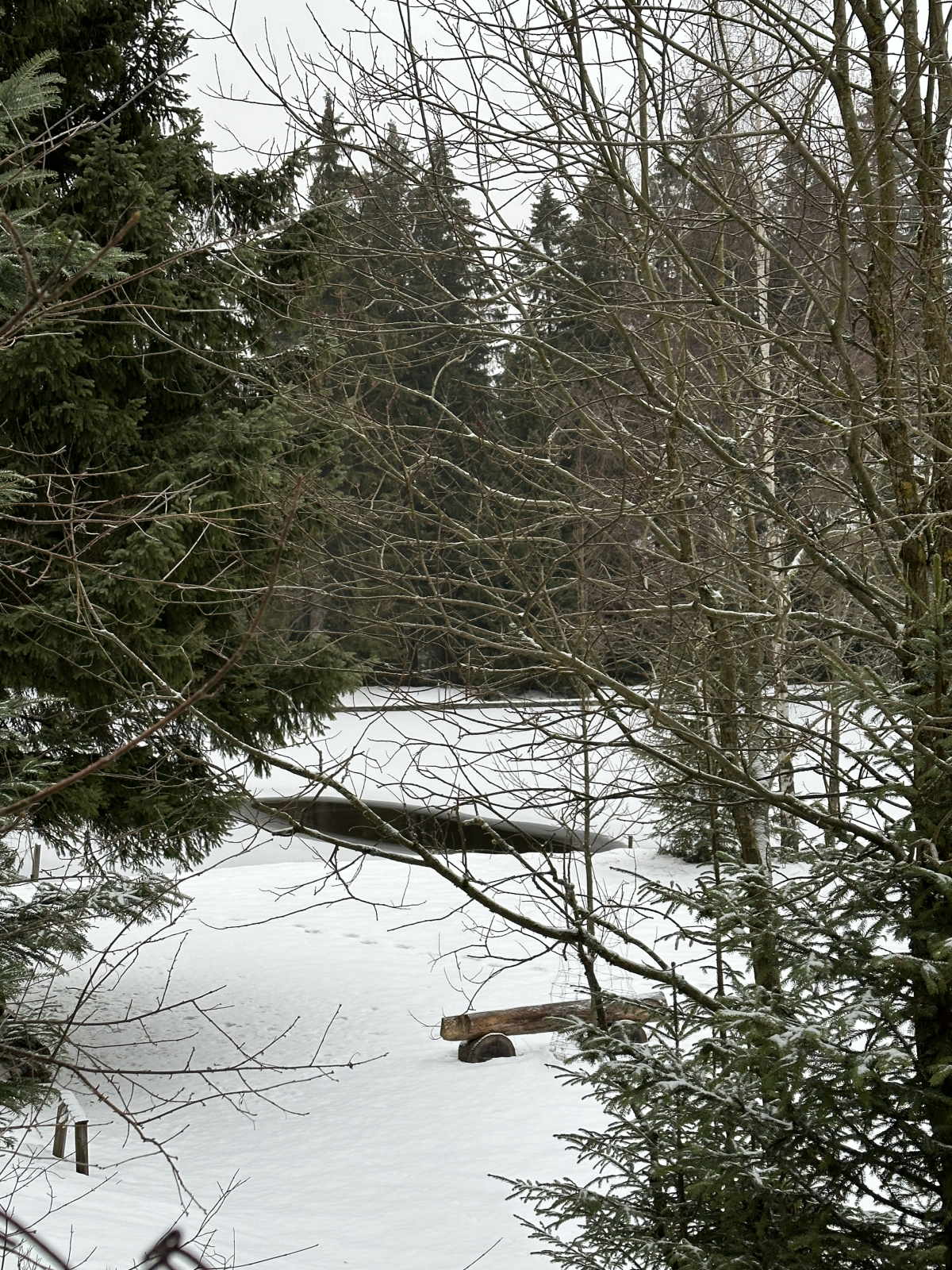 Ujumiskoht Oberhofis_Tuuli blogi