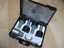 Originaal vargapoldid