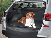 Koeravõre i30 Wagon 2017-