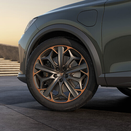 Valuvelg exclusive must/copper 19"