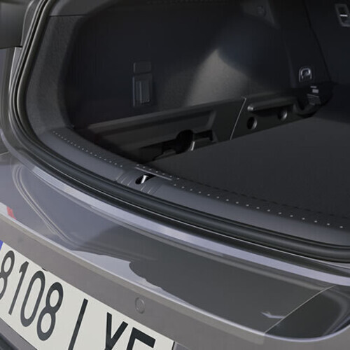 Tagastange kaitsekile läbipaistev, Leon 2020-