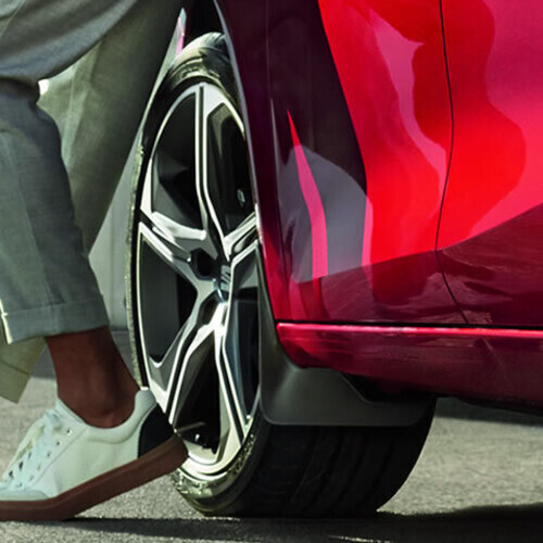 Esiporikummid Leon 2020-