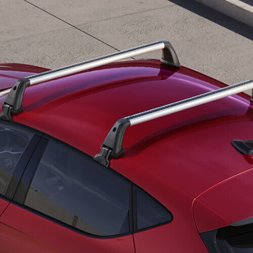 Katusetalad Leon 2020- luukpära