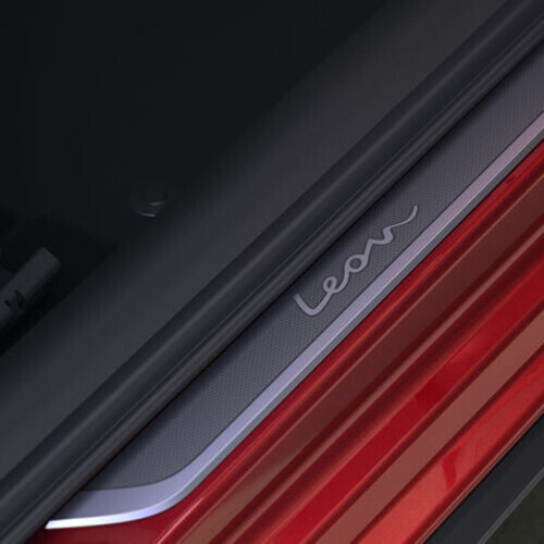 Lävepakukatted Leon 2020-, INOX